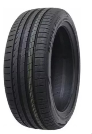 PNEU 225/45R18 95Y F205 MINERVA