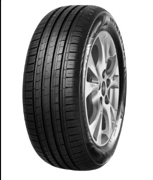 PNEU 205/55R16 91V F209 MINERVA