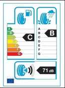 PNEU 245/45R18 100Y F205 MINERVA