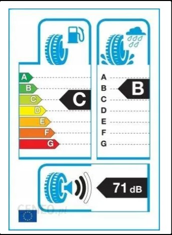 PNEU 245/45R18 100Y F205 MINERVA