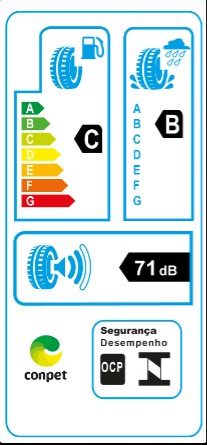 PNEU 225/50R18 99W F205 MINERVA