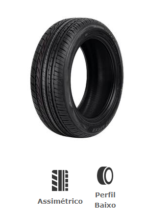 PNEU 255/35R19 96Y SPEEDMAX DSU02