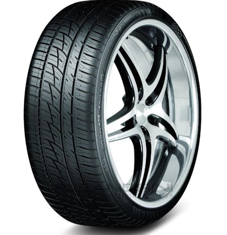 PNEU 245/30R22 95W DELINTE 95W XL DELINTE DESERT DS8